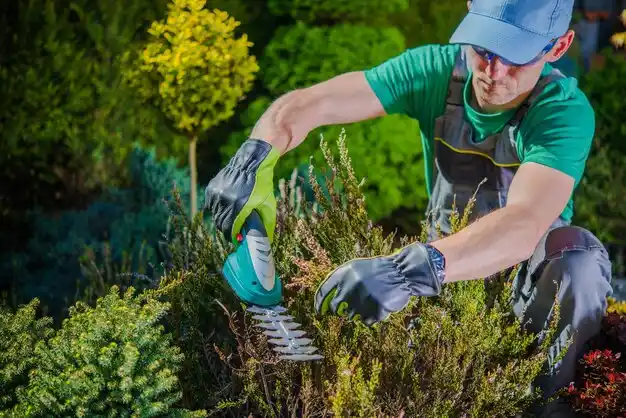 landscaping services Gloversville